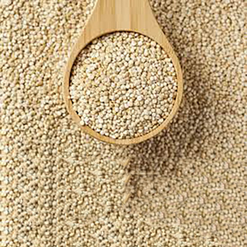 ENSALADA JAPONESA TARRO 350gr.